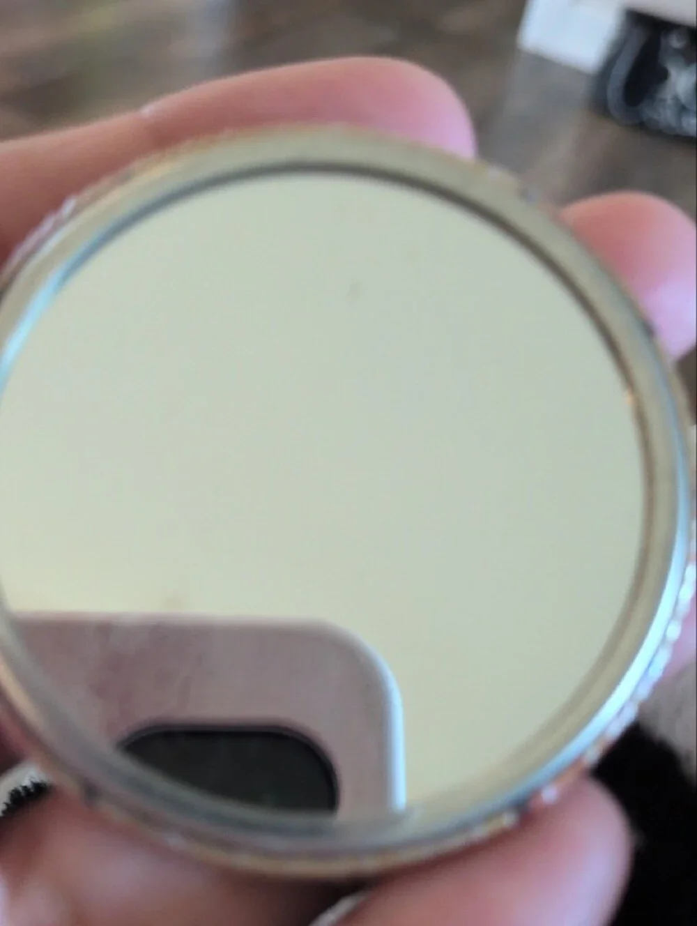 Compact Mirror With Red Bird Pattern